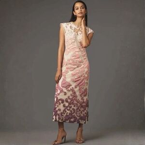 Anthropologie Dress Size XS Let Me Be Sheer Ombré Midi NWT Embroidered Romantic